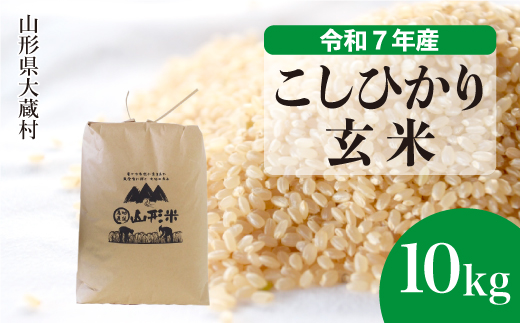 ＜令和7年産米＞ こしひかり 【玄米】 10kg （10kg×1袋） 配送時期指定できます！