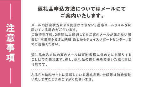 あとからチョイス 6万円  本巣市返礼品カタログ