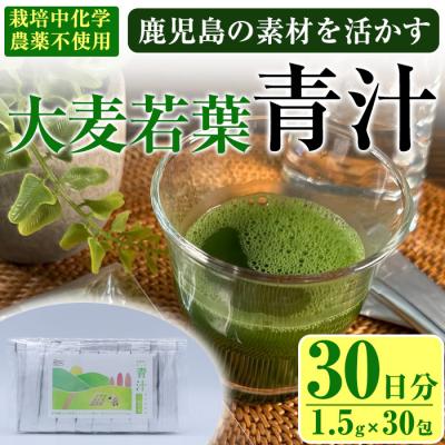 ふるさと納税 曽於市 茶農家の作った素材を活かす美味しい青汁(大麦若葉)30日分