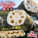 【ふるさと納税】【先行予約】愛知県愛西市産の土付き蓮根（2kg）【清水食品株式会社】 れんこん レンコン 愛知県産 野菜 産地直送 愛西市/ 清水食品株式会社[AEAJ001]