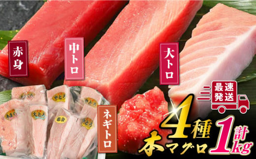 対馬産 本マグロ 4種 計1kg（赤身/中トロ/大トロ/ネギトロ）《対馬市》【対海】[WAH004] マグロ まぐろ 鮪 本鮪 本マグロ 養殖 トロ 中トロ 中とろ 大トロ 大とろ 赤身 ねぎとろ ネギトロ たたき 刺身 冷凍 海鮮 魚 柵 お祝い 贈答