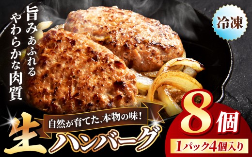 冷凍 ハンバーグ 生8個入り ( 2パック ) | お肉 肉 豚肉 白豚 お惣菜 惣菜 おかず 簡単調理 国産 九州産 大分県産 大分県 中津市