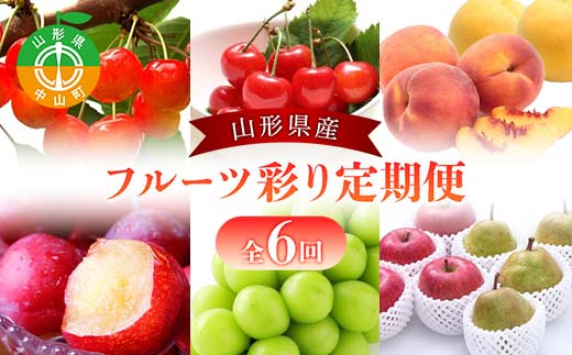2026年度発送【定期便 6回】山形県産 フルーツ彩り定期便 果物 くだもの フルーツ さくらんぼ 佐藤錦 すもも 秋姫 ぶどう シャインマスカット ラ・フランス ラフランス 洋梨 梨 りんご サンふじ 山形県 中山町 F4A-0421