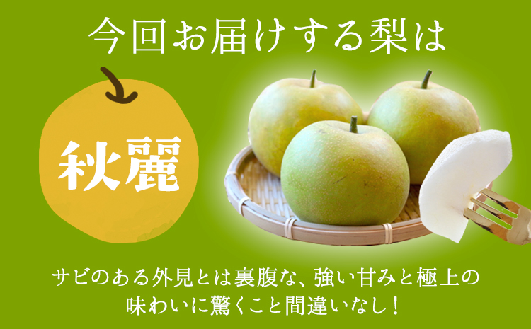 さかもと果樹園の玉東梨 秋麗梨 約5kg (6玉-18玉前後) 《8月中旬-8月下旬頃出荷》【日付指定・品種指定不可】 熊本県玉名郡玉東町 梨 なし 果物 フルーツ 秋麗---sg_csksyurei