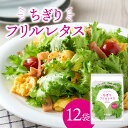 【ふるさと納税】ベジタス ちぎり フリルレタス 12個入り シャキシャキ食感 緑黄色野菜 植物工場 サラダ レタス SDGs