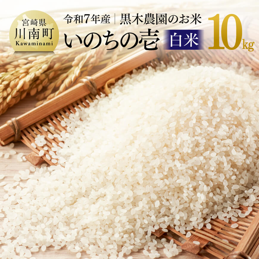 【ふるさと納税】【令和7年産】黒木農園のお米「いのちの壱(白米)」10kg- 米 お米 白米 国産 九州産 宮崎県産 新米 いのちのいち ご飯 ごはん お弁当 おにぎり おむすび ふっくら 艶々 晩ごはん お取り寄せ お届け 農家直送 産地直送 精米 送料無料 宮崎県川南町 C03228