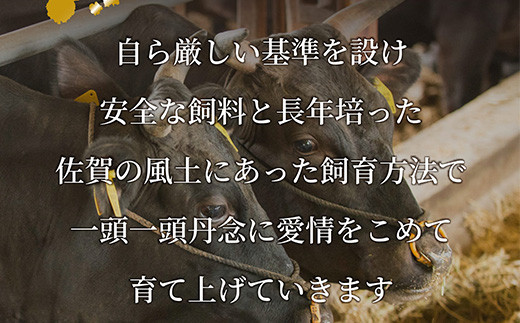 佐賀牛サーロインステーキを贅沢なディナー、
お祝い、贈り物、ギフトにもいかがでしょうか？