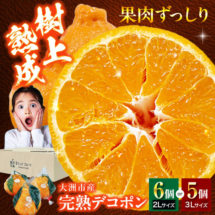 【ふるさと納税】【先行予約】【3月下旬から順次発送】大洲市産「完熟デコポン」5〜6個 | 人気 おすすめ ランキング おいしい 甘い みかん 柑橘 果物 フルーツ 大洲市/株式会社フジ・アグリフーズ [AGBA008] 10000 10000円 以上