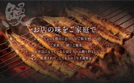 九州産 手焼き 炭火 うなぎ 蒲焼 2尾 計240g以上 (1尾あたり120～149g)