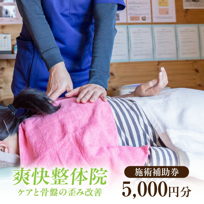 【ふるさと納税】爽快整体院 施術補助券【5,000円分】有効期限：発行日より1年間 / 整体 施術券 チケット サービス 健康 体を整える 愛知県 西尾市 送料無料 S089