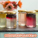 【ふるさと納税】希少な蜂蜜から作る！「伊豆のはちみつジャムセット」（170g×3本） ／ いちご ブルーベリー レモン ギフト 無添加 送料無料 静岡県 191025-01