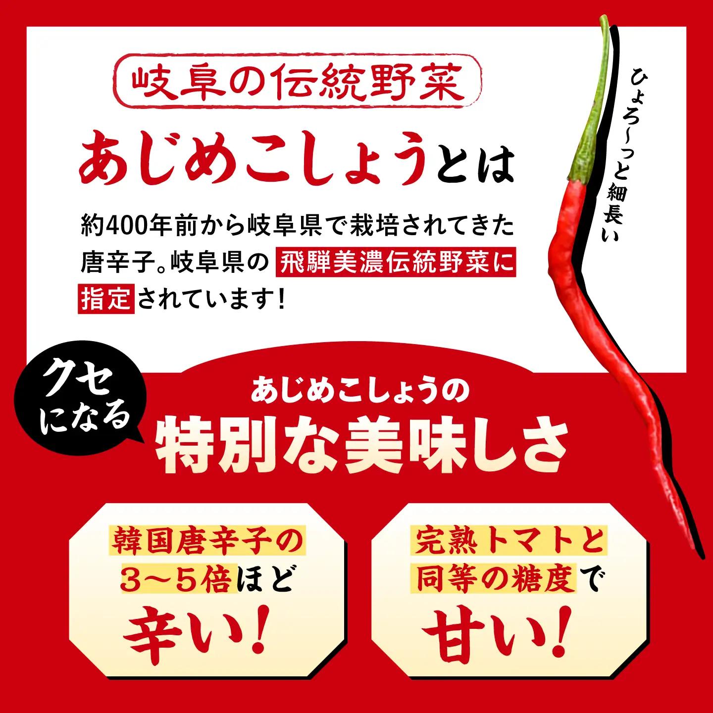 LGASIA (ルガシア) オリジナルスパイスAJIME 50g×3本 / アウトドア キャンプ スパイス 調味料 / 恵那市 / ＭＡＣ[AUDM005]