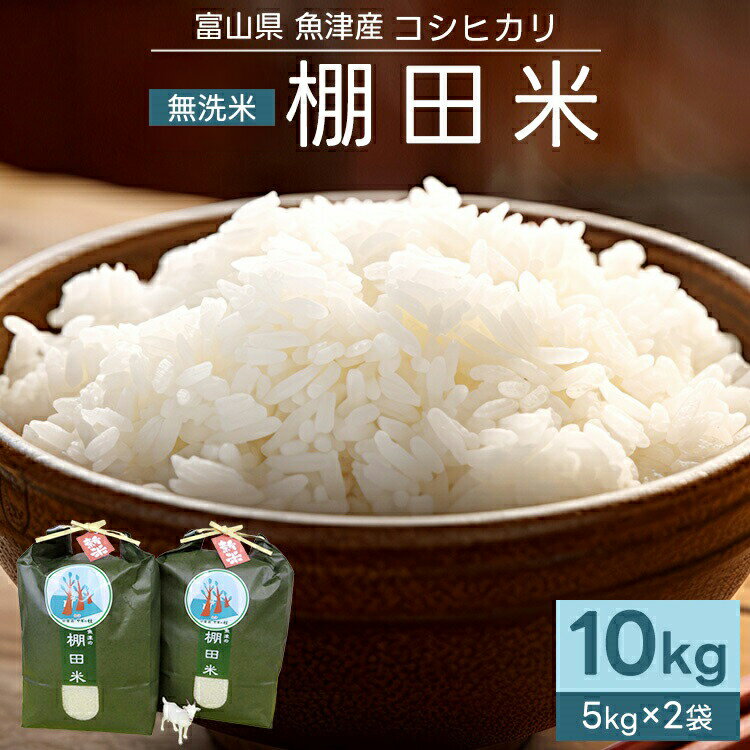 【ふるさと納税】【早期予約】米 令和8年産米コシヒカリ 10kg 無洗米 棚田米 (5kg×2袋) ヤギの杜｜新米 先行予約 予約 米 無洗米 富富富 ふふふ こめ コメ お米 白米 10kg ブランド米 お中元 ギフト ご飯 ごはん 人気 ランキング 北陸 富山 お取り寄せ ※2026年9月～発送