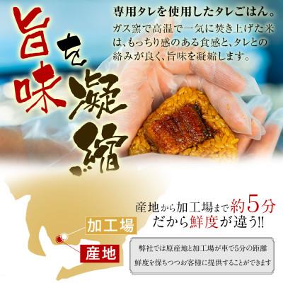 ふるさと納税 西尾市 三河一色産うなぎ使用 うなぎおにぎり5個・R011-9 |  | 01