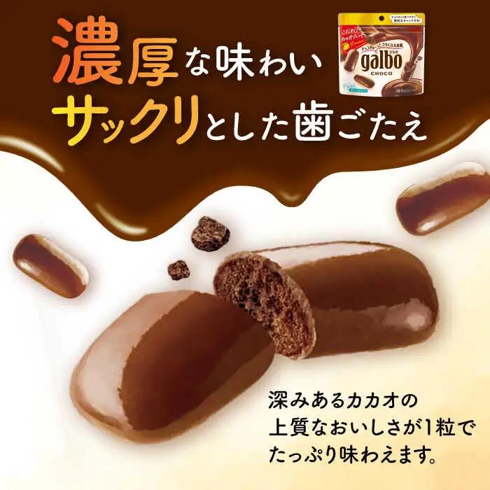 ガルボチョコ パウチ 48袋[AOAA028] チョコレート