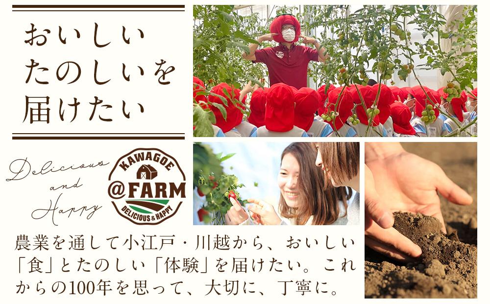 【令和8年発送分】KOEDO MELON　真実－manami－　2玉 ／ メロン 青肉 ギフト 埼玉県