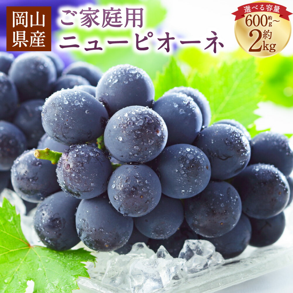 【ふるさと納税】ご家庭用 岡山県産 ニューピオーネ ＜選べる内容量＞ 約600g / 計約800g / 計約1kg / 計約1.5kg / 計約2kg ぶどう ブドウ 葡萄 種なし 種無し フルーツ くだもの 果物 果実 デザート 冷蔵 国産 岡山県 美咲町 送料無料 【2026年8月下旬～9月下旬発送予定】