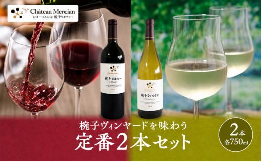 
椀子ヴィンヤードを味わう定番2本セット [№5312-0428]
