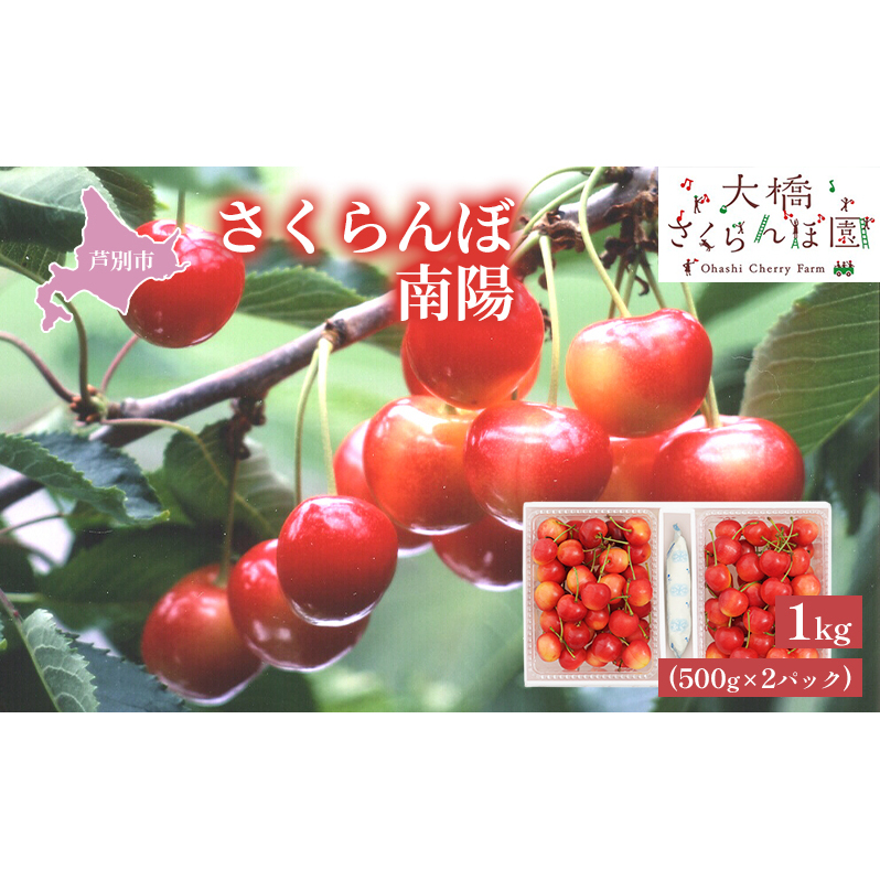 【先行受付】さくらんぼ 南陽1kg（500g×2パック）高級 サクランボ 北海道 芦別産 赤 3L 果物類 フルーツ チェリー 