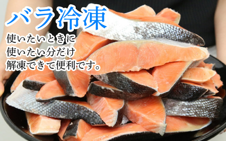 【訳あり品】 塩銀鮭 切身 1.5kg(500g×3パック) | 鮭切り身 鮭   