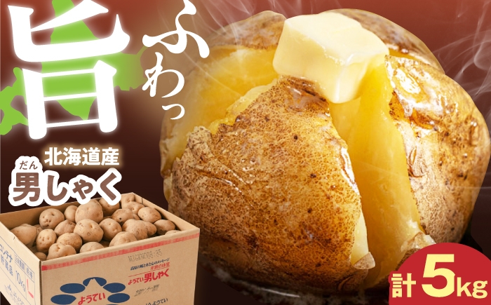 
                  【9月下旬以降順次発送】じゃがいも 男爵芋 5kg 《喜茂別町》【Aコープようてい】 じゃがいも いも 芋 ジャガイモ イモ 野菜 男爵 北海道 ポテト 国産 産地直送 旬 お取り寄せ 常温 [AJAK027]
                