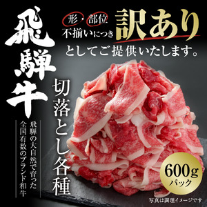 訳あり 飛騨牛 切落とし 500g 冷凍真空パック | 肉 お肉 切り落とし 薄切り すき焼き すきやき 黒毛和牛 和牛 人気 おすすめ 牛肉 ギフト お取り寄せ [MZ011]