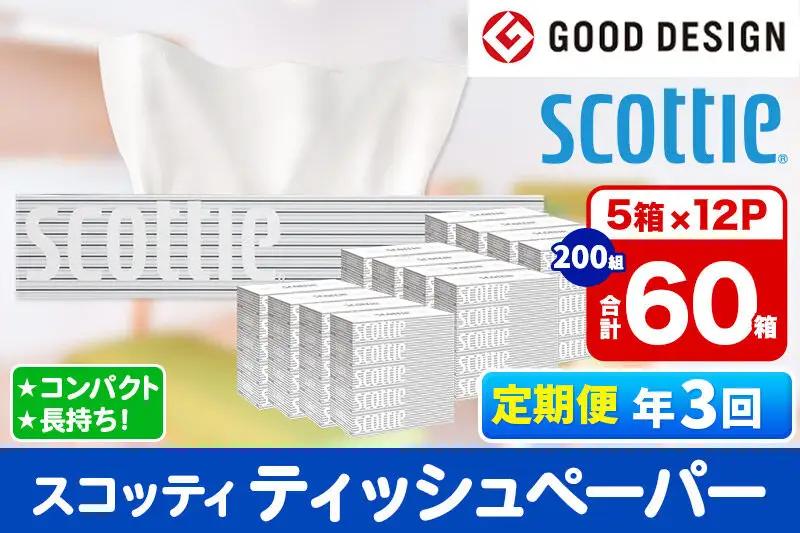 《4ヶ月ごとに3回お届け》定期便 ティッシュペーパー スコッティ 200組 60箱(5箱×12パック) ティッシュ 最短翌日発送
