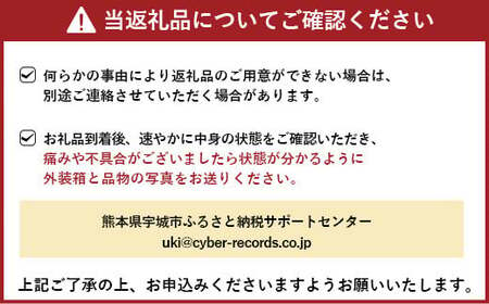 【先行予約】恋する 不知火 約10kg 訳あり品 【御舩果樹園】【2025年4月上旬から2025年6月下旬発送予定】果物 くだもの フルーツ 柑橘 しらぬい 国産