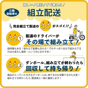 三輪自転車 三輪車 大人用 20インチ 組立配送 ノーパンク パンクしない パンクレス パンクしない 高齢者 シニア カゴ付き 3輪 安定 通院 買い物 免許返納 ギフト プレゼント 人気 安心 安全