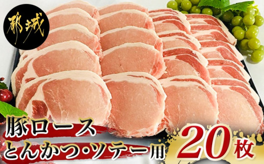 
豚ロースとんかつ・ソテー用20枚 - _AA-2506_ (都城市) 豚肉 豚ロース とんかつ ソテー 100g×5枚×4パック 計20枚 豚 真空パック 冷凍保存
