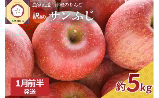 【2026年1月前半発送】 訳あり りんご サンふじ 約 5kg 青森 果物 【 訳アリ リンゴ 林檎 ふじ さんふじ 】