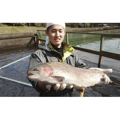 ふるさと納税 矢板市 【丸1尾】栃木県のブランド魚「プレミアムヤシオマス」◆新鮮◆活け締め◆鮮魚◆鱒 |  | 02