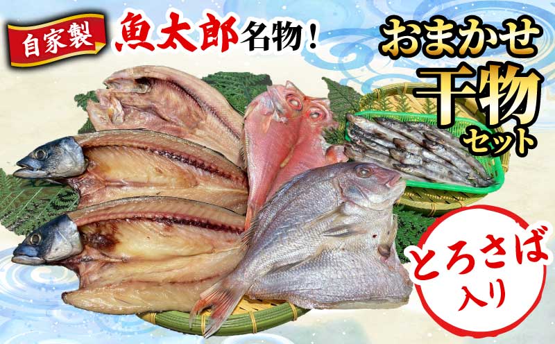魚太郎名物 自家製とろさば入り おまかせ 干物セット サバ 鯖 とろ鯖 鯛 たい 金目鯛 めひかり ほっけ 海鮮 鮮魚 バーベキュー お米 にあう ご飯のお友 酒の肴 愛知県 南知多町