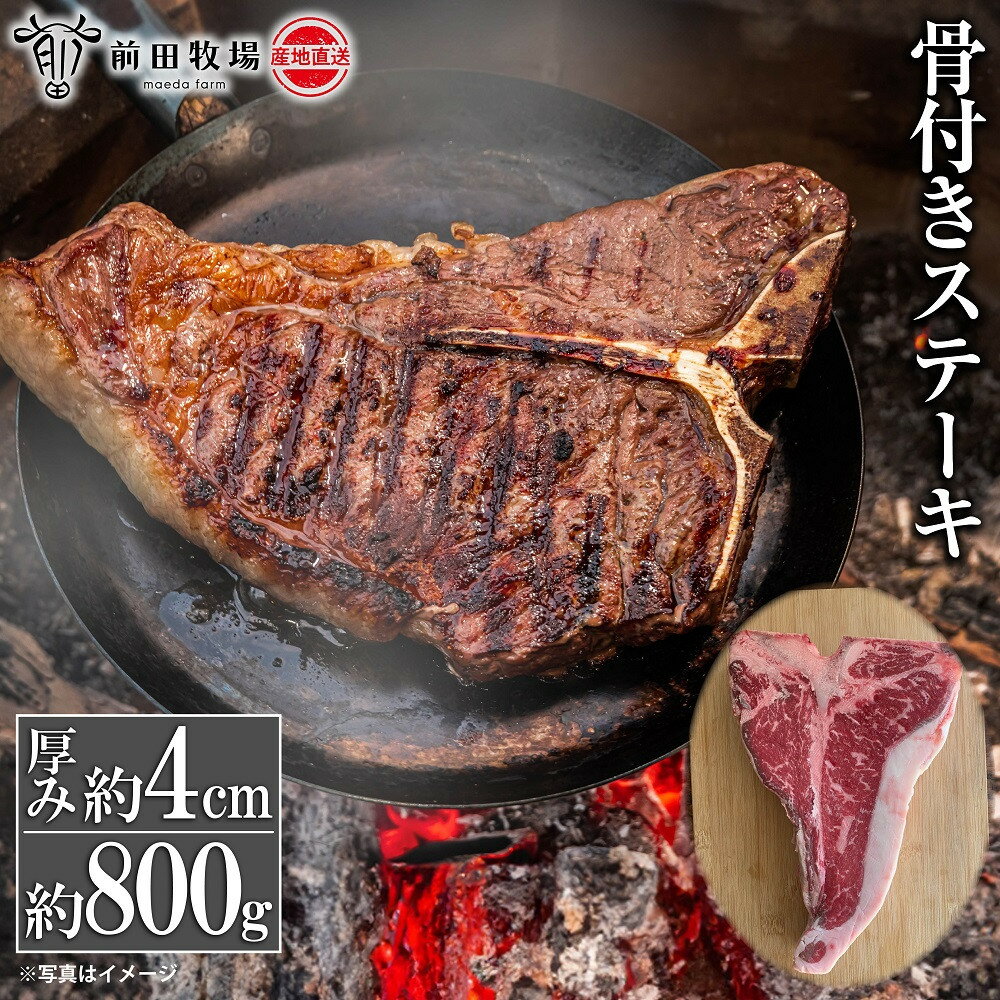 【ふるさと納税】【大田原 前田牧場直送】骨付きステーキ 約800g 前後| ブランド牛 牛肉 Tボーン ステーキ 産地直送 産直