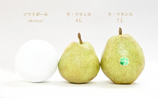 【令和7年産】 十三代目 佐藤市右衛門 特大玉 ラ・フランス 約4kg (7玉 秀) 『旬の果実 佐藤市右衛門農園』 山形県 南陽市 [678]