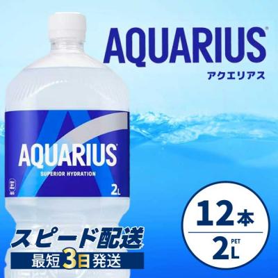ふるさと納税 三原市 アクエリアス PET 2L×12本(6本×2ケース)  [014-019]