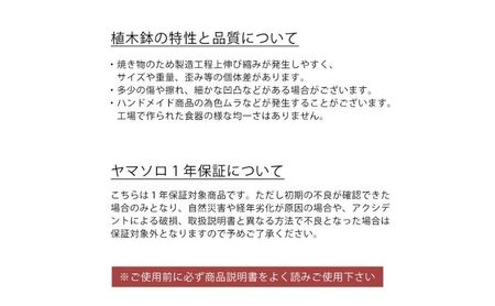 底面吸水植木鉢 bere べーレ ホワイト