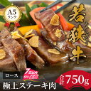 【ふるさと納税】750g 肉 お肉 ステーキ リブロース 若狭牛 ブランド牛 A5ランク 冷蔵配送 国産 送料無料 / 若狭牛A5ランク切り落とし肉 [E-037007]