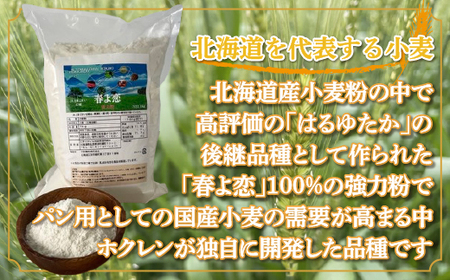 春よ恋(強力粉) 1kg×5袋 【 ふるさと納税 人気 おすすめ ランキング 春よ恋 小麦粉 ブランド小麦 国産小麦 こむぎ 小麦 強力粉 北海道 むかわ町 送料無料 】 MKWR006