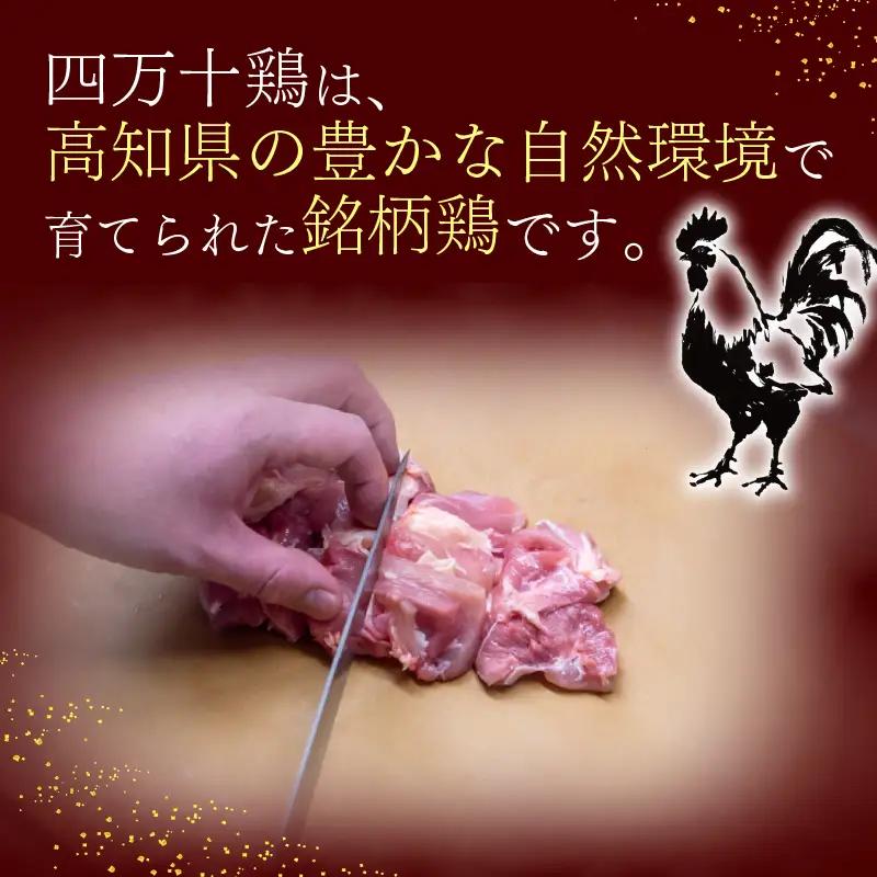 国産 鶏もも肉 2kg (2g×1袋) 冷蔵 四万十鶏［1781］