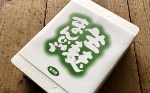 【数量限定】生麩まんじゅう 7個入 | 中津菓子かねい 冷凍発送 饅頭 和菓子 お菓子 菓子 和スイーツ こしあん あんこスイーツ 大分県 中津市