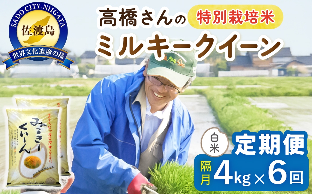 
                  【定期便 令和8年産新米 全6回】 佐渡島産ミルキークイーン 白米 4kg（2kg×2袋） 令和8年産新米 特別栽培米 高橋農園 | 新潟県産ミルキークイーン 佐渡産ミルキークイーン ミルキークイーン お米 米 白米 精米 おこめ コメ 4キロ にいがた さど 新潟県 佐渡市
                