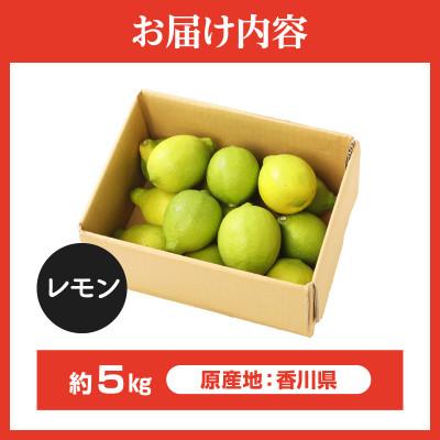 ふるさと納税 高松市 【先行受付2026年】レモン　約5kg |  | 03