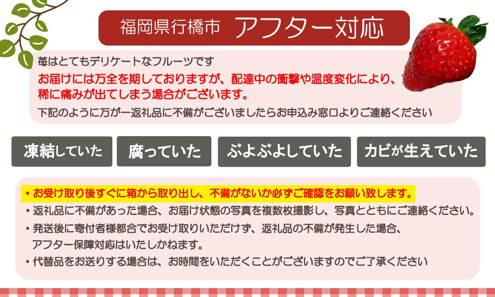 CZ-013_【先行受付】_いちごの王様！【あまおうデラックス】6玉〜15玉（2パック）1月から発送