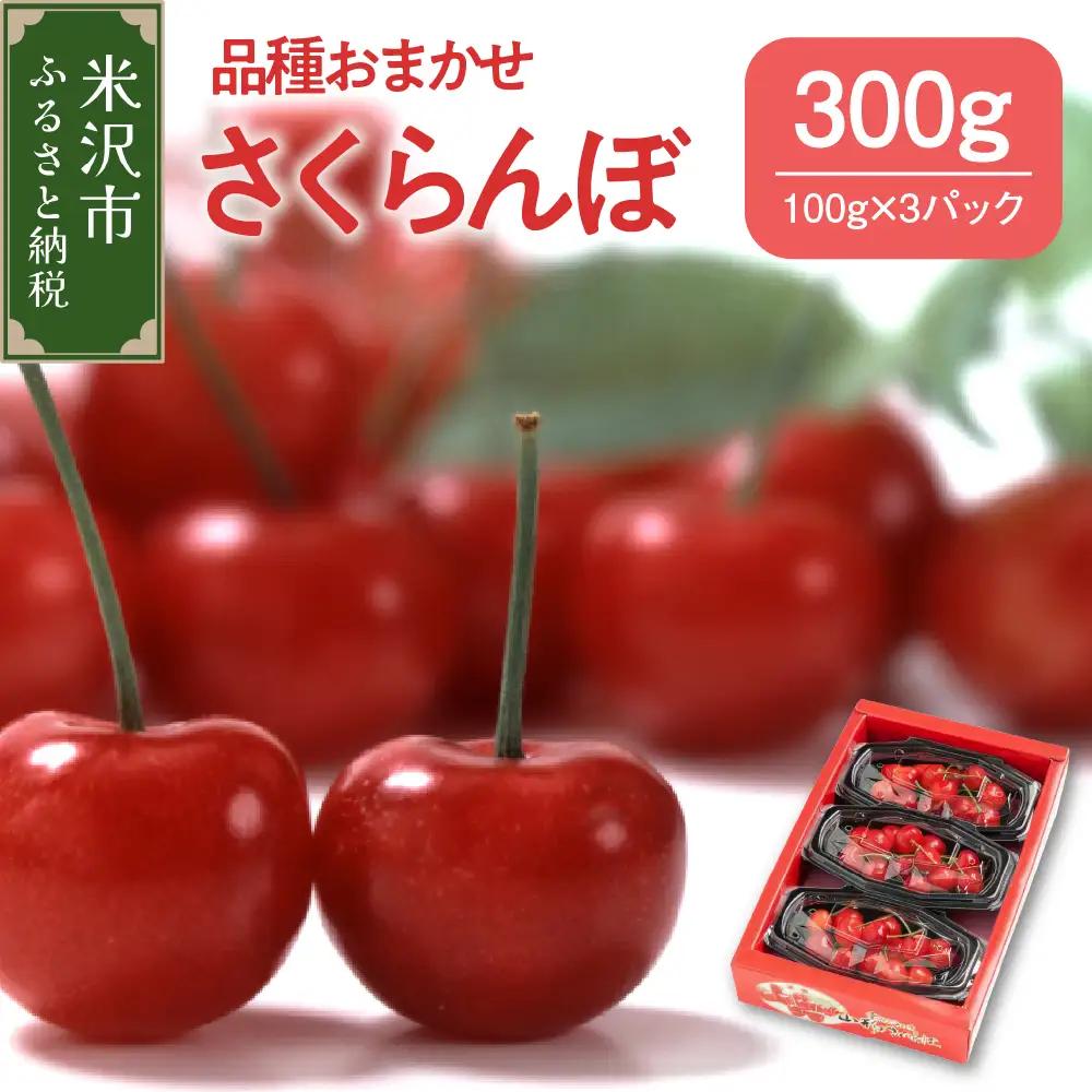 【先行予約】 令和9年産 さくらんぼ 300g 品種おまかせ さくらんぼ