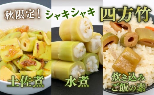 四方竹  食べ比べセット 土佐煮 水煮 炊き込みご飯の素 シャキシャキ 食感 珍味 季節 特産 珍しい 柔らか 筍 タケノコ 竹の子 煮物 おでん サラダ 和え物 天ぷら キンピラ お寿司 高知県 南国市