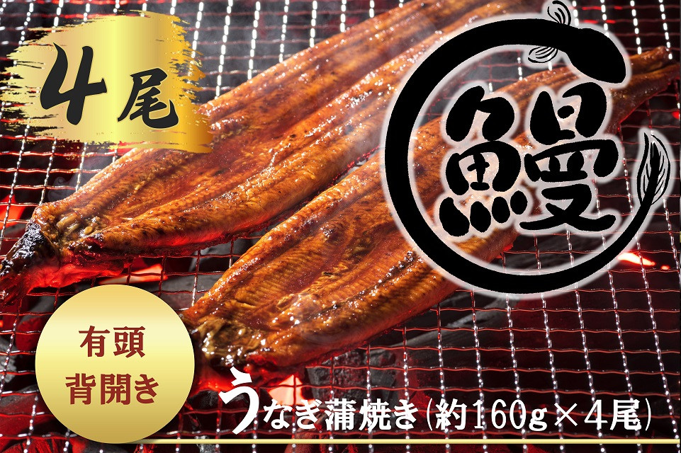 肉厚で脂が乗ったふっくらうなぎ蒲焼4尾　有頭鰻”当社秘伝のたれ”仕込み 1尾あたり約160ｇ前後×4尾（合計約600ｇ以上）たれ・山椒セット