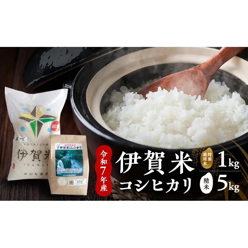 【精米】令和7年産　伊賀米コシヒカリ　5kg+特別栽培米1kg　お米 米 白米 こしひかり ごはん 三重県 名張市