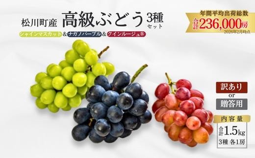 ぶどう3種セット プレミアムスリー（クイーンルージュ🄬／シャインマスカット／ナガノパープル）約1.5kg／2026年9月中旬頃～9月下旬配送予定［TK05］//3種セット 長野県 南信州 種なし 皮ごと 食べ比べ 詰め合わせ 贈答 ギフト 新鮮 希少