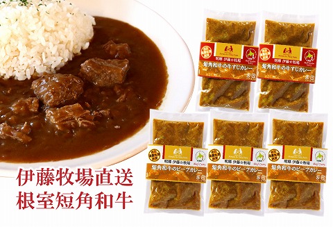 【北海道根室産】短角和牛ビーフカレー3P、牛すじカレー2Pセット A-13009